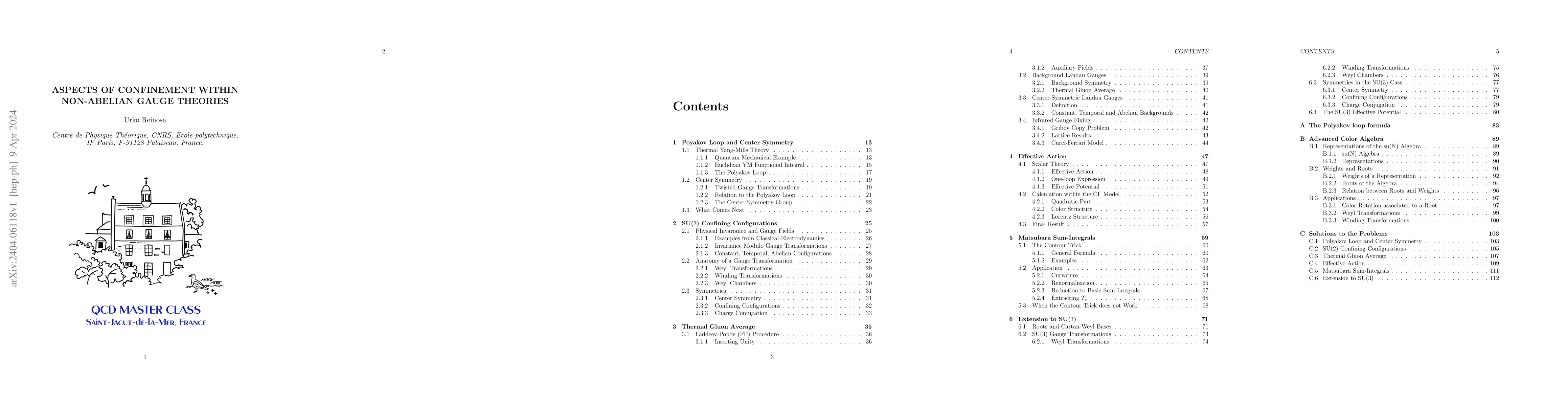 Thumbnail for Aspects of confinement within non-Abelian gauge theories