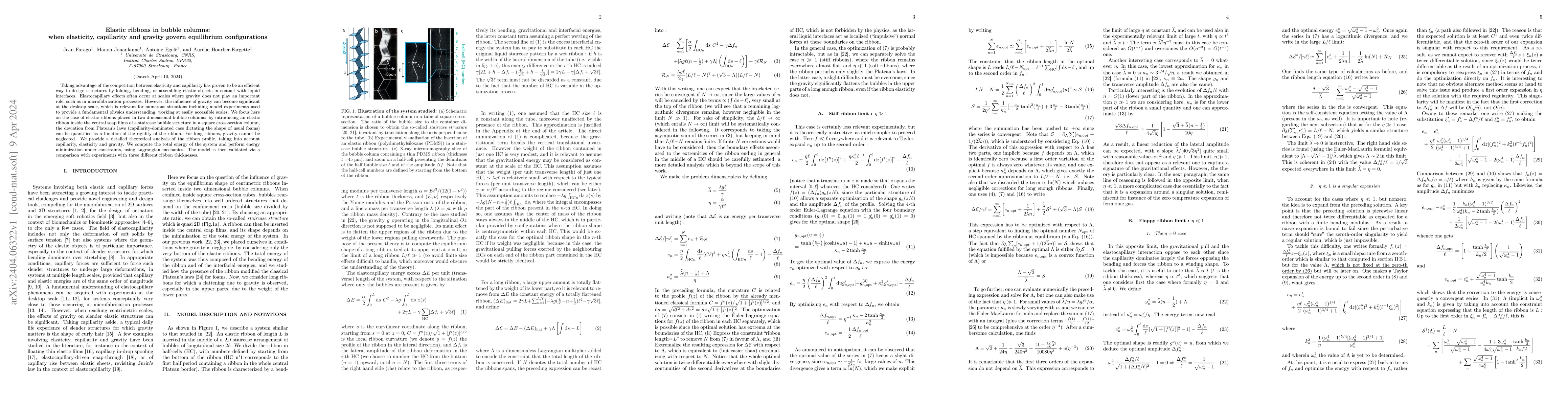Thumbnail for Elastic ribbons in bubble columns: when elasticity, capillarity and
  gravity govern equilibrium configurations