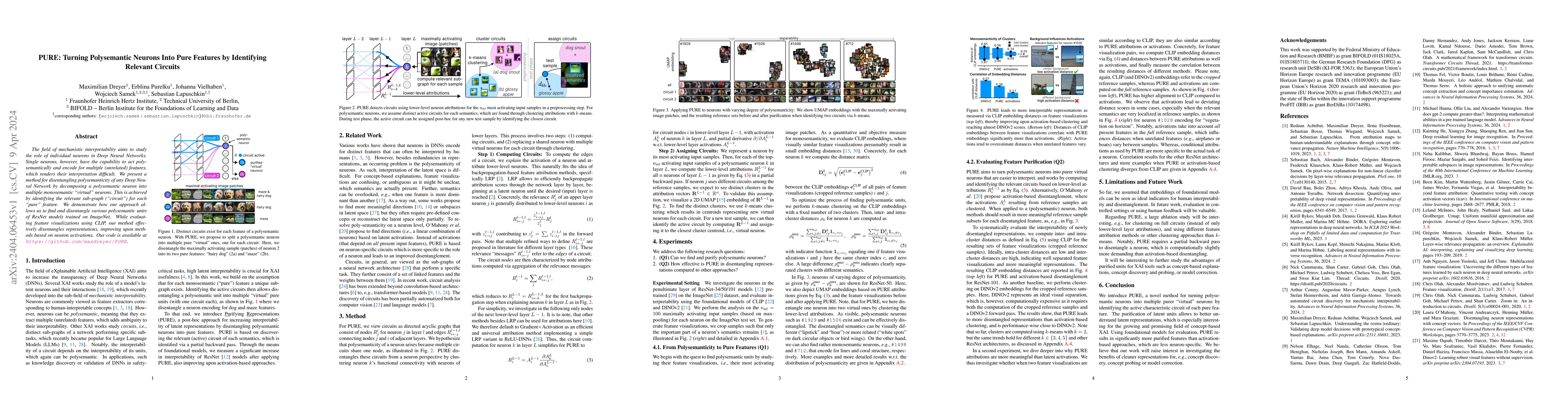 Thumbnail for PURE: Turning Polysemantic Neurons Into Pure Features by Identifying
  Relevant Circuits