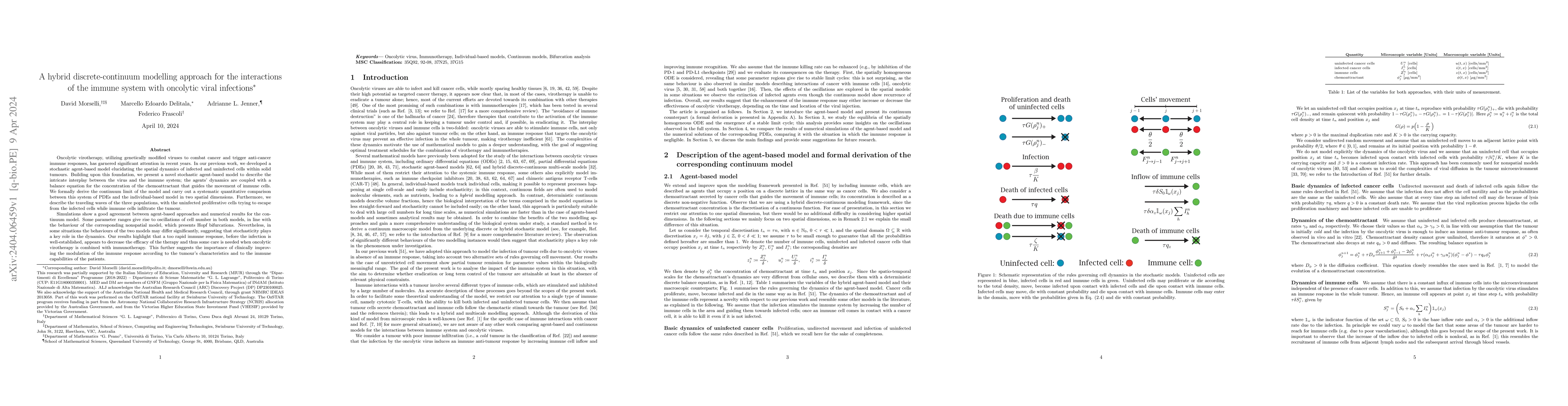 Thumbnail for A hybrid discrete-continuum modelling approach for the interactions of
  the immune system with oncolytic viral infections