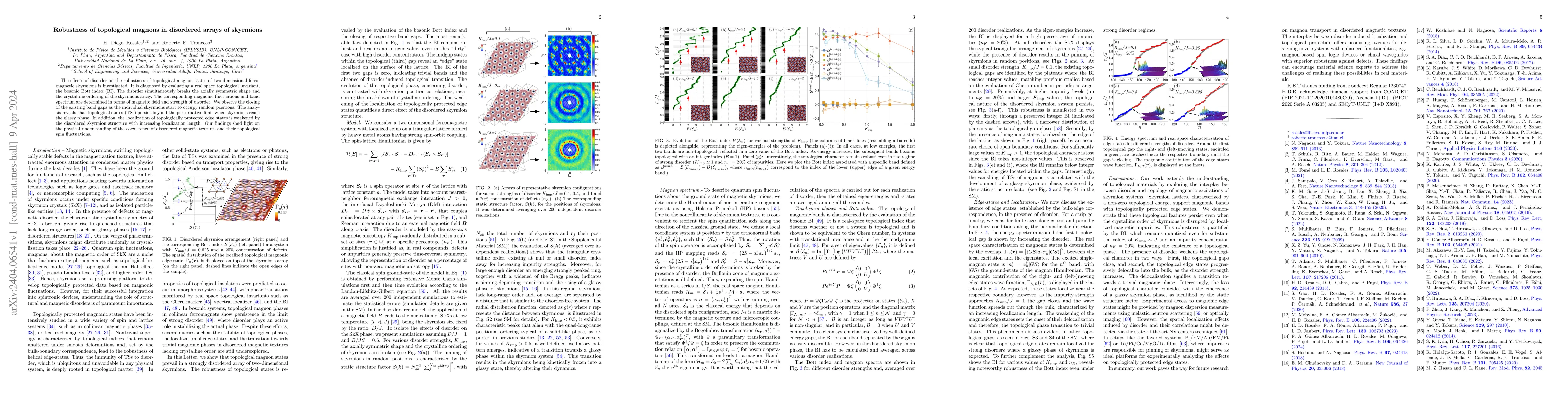 Thumbnail for Robustness of topological magnons in disordered arrays of skyrmions