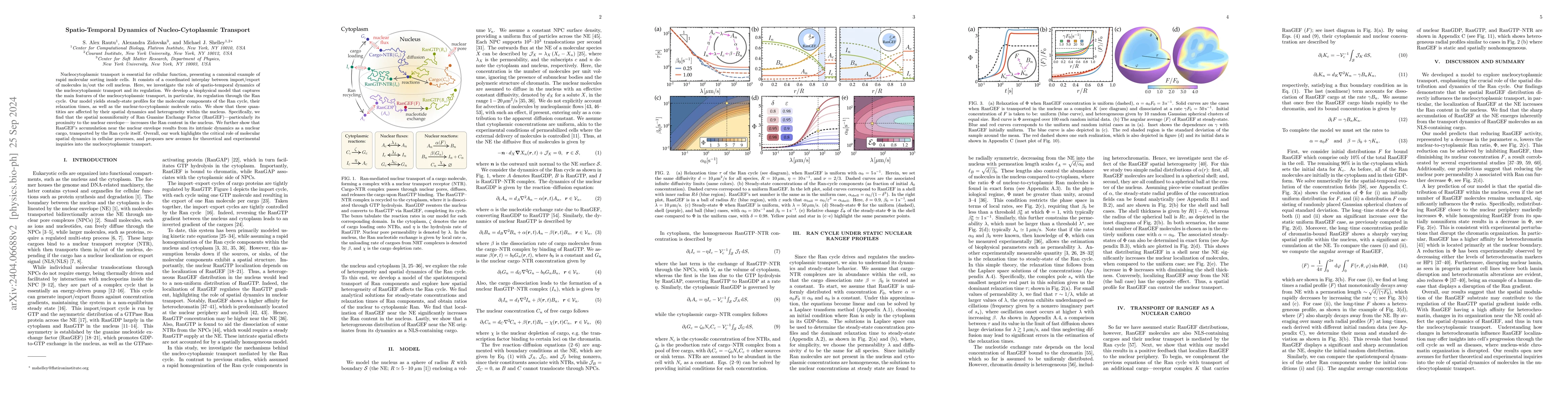 Thumbnail for Spatio-Temporal Dynamics of Nucleo-Cytoplasmic Transport