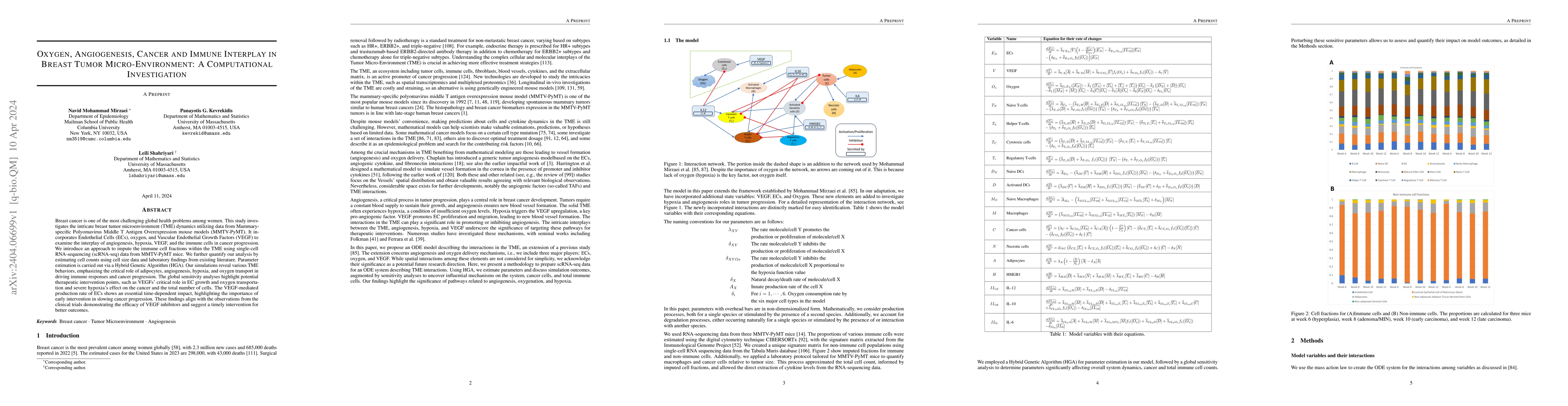 Thumbnail for Oxygen, Angiogenesis, Cancer and Immune Interplay in Breast Tumor
  Micro-Environment: A Computational Investigation