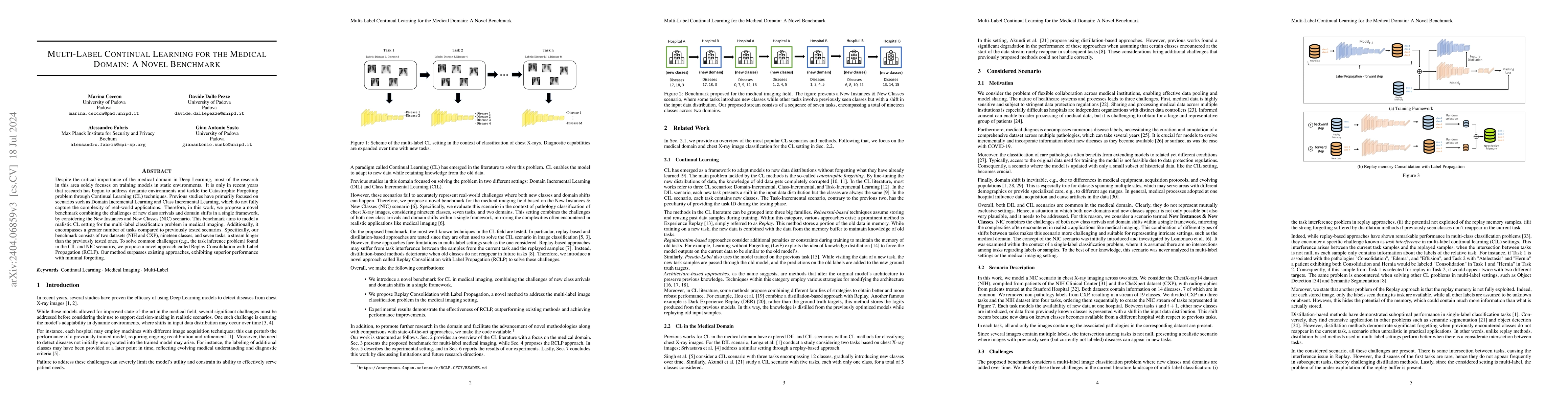 Thumbnail for Multi-Label Continual Learning for the Medical Domain: A Novel Benchmark