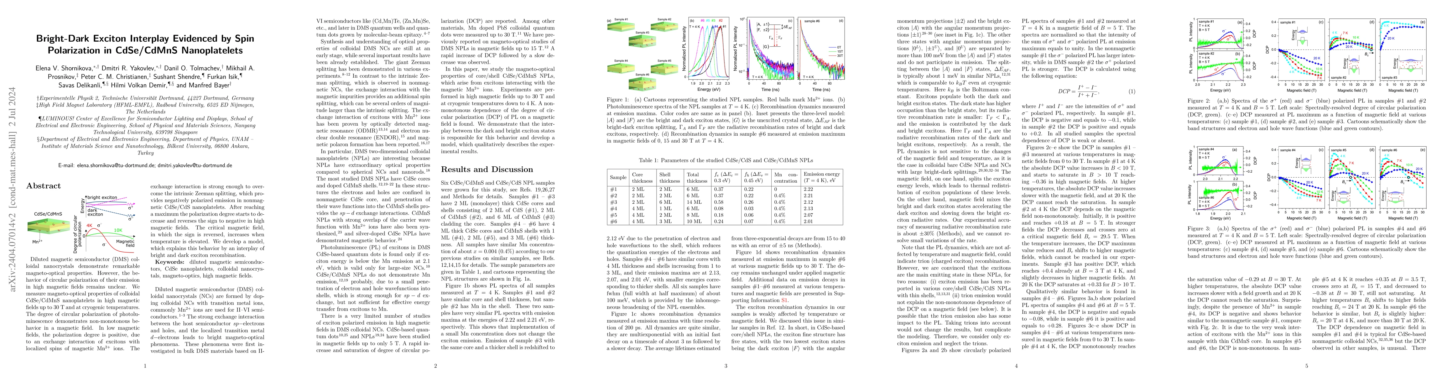 Thumbnail for Bright-Dark Exciton Interplay Evidenced by Spin Polarization in
  CdSe/CdMnS Nanoplatelets