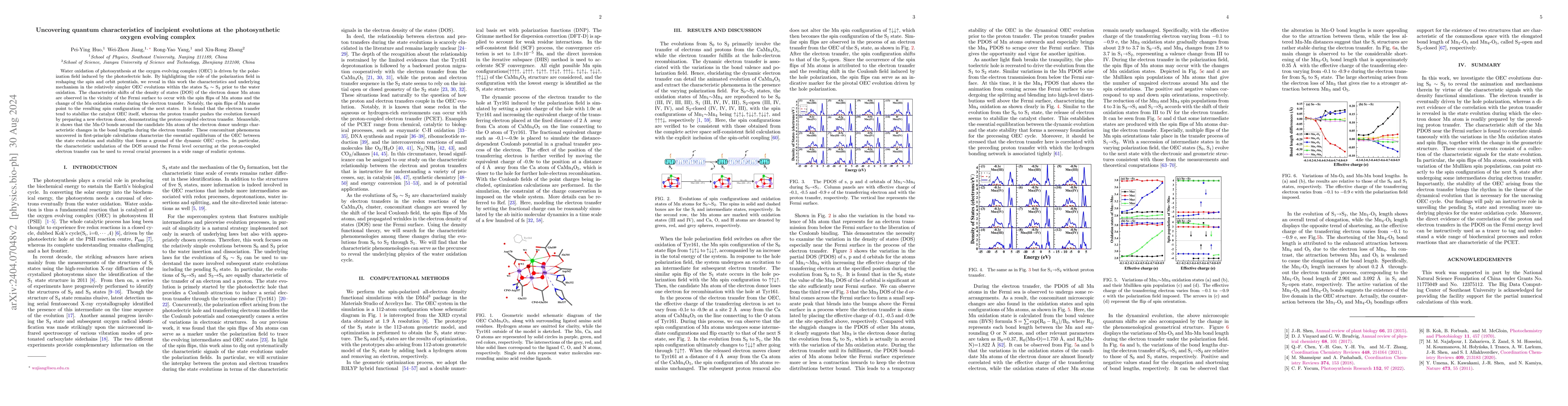 Thumbnail for Uncovering quantum characteristics of incipient evolutions at the
  photosynthetic oxygen evolving complex