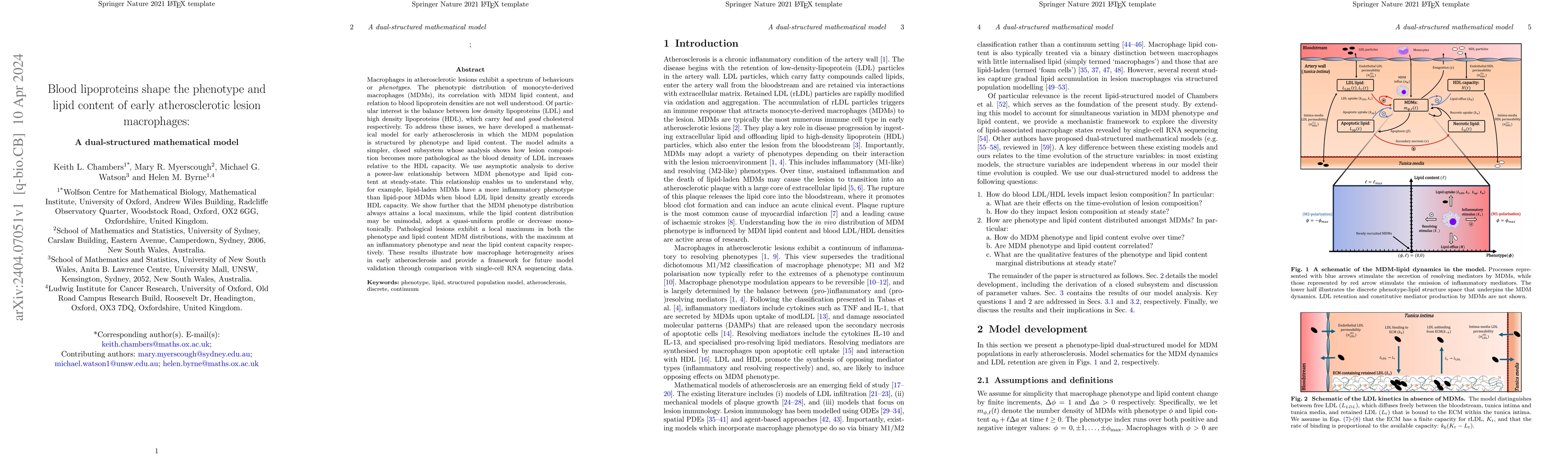 Thumbnail for Blood lipoproteins shape the phenotype and lipid content of early
  atherosclerotic lesion macrophages: a dual-structured mathematical model