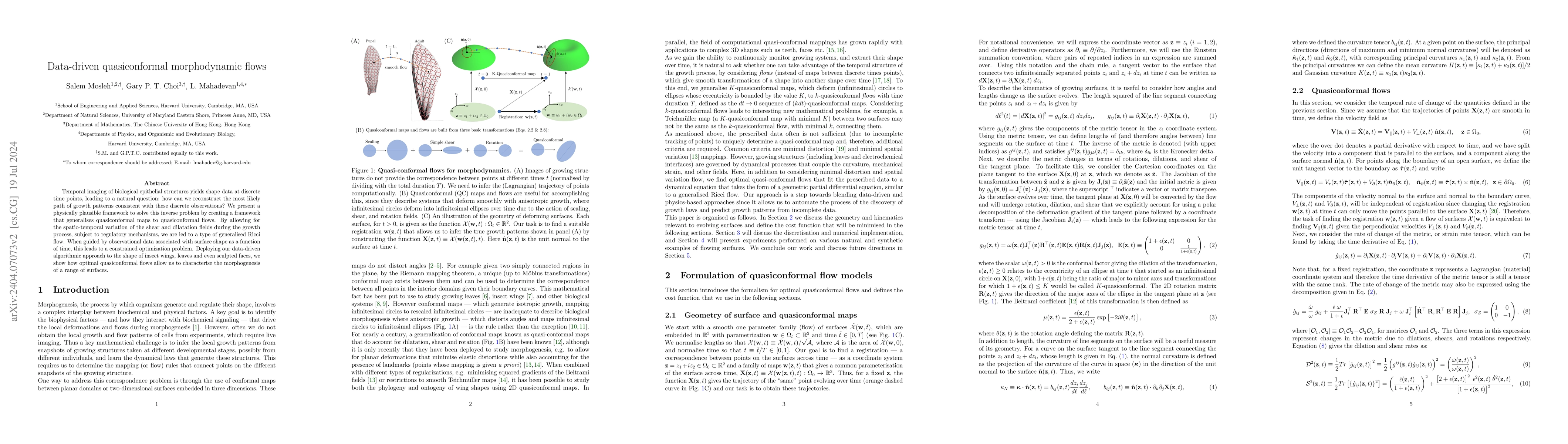Thumbnail for Data-driven quasiconformal morphodynamic flows