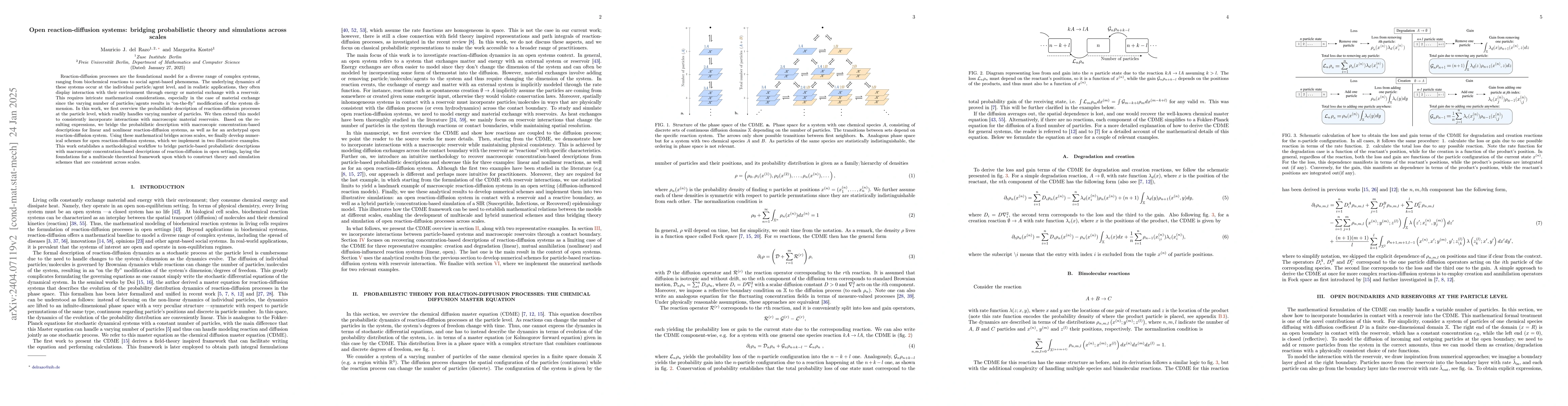 Thumbnail for Open reaction-diffusion systems: bridging probabilistic theory across
  scales