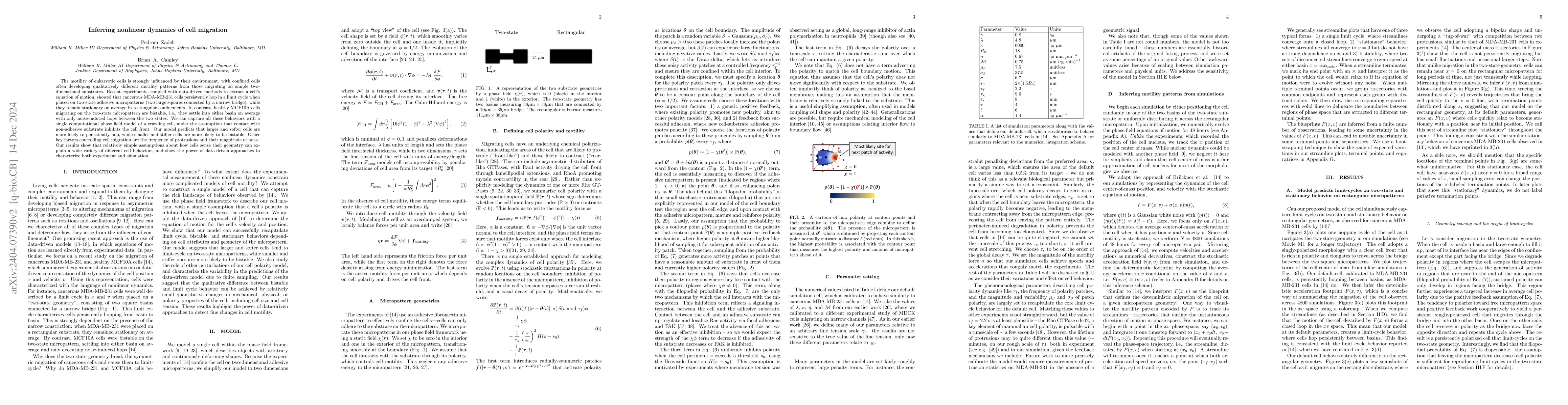 Thumbnail for Nonlinear dynamics of confined cell migration -- modeling and inference