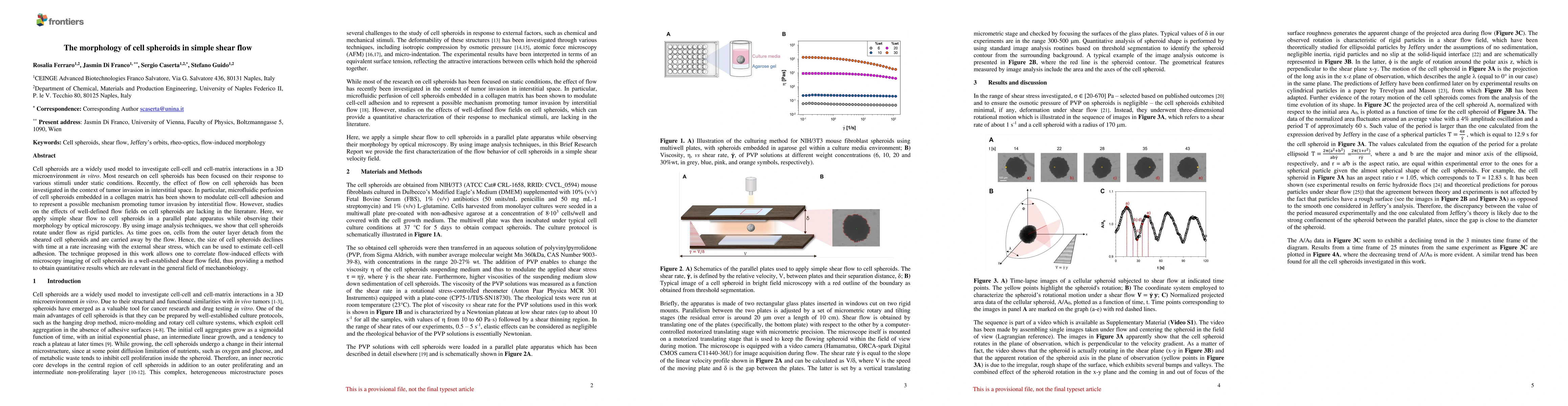 Thumbnail for The morphology of cell spheroids in simple shear flow