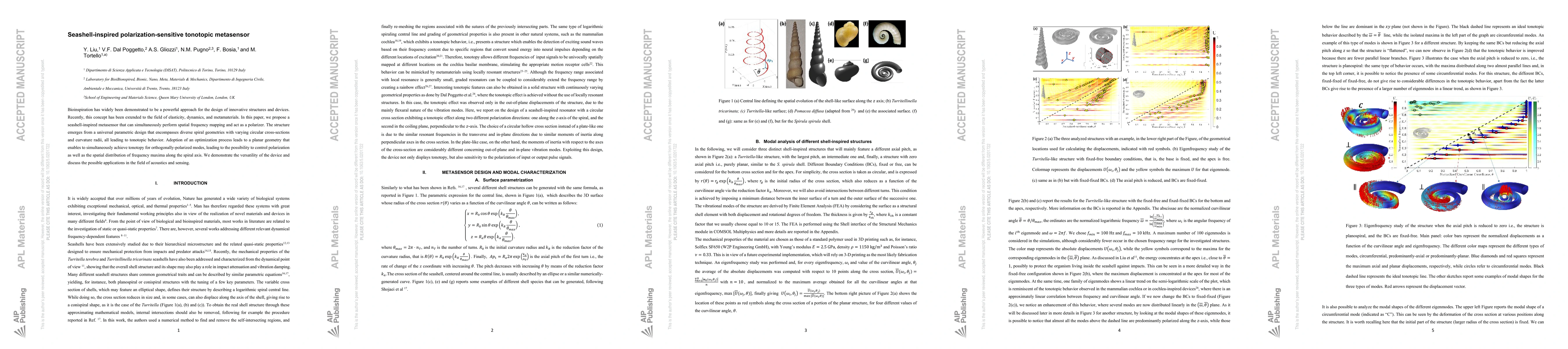 Thumbnail for Seashell-inspired polarization-sensitive tonotopic metasensor