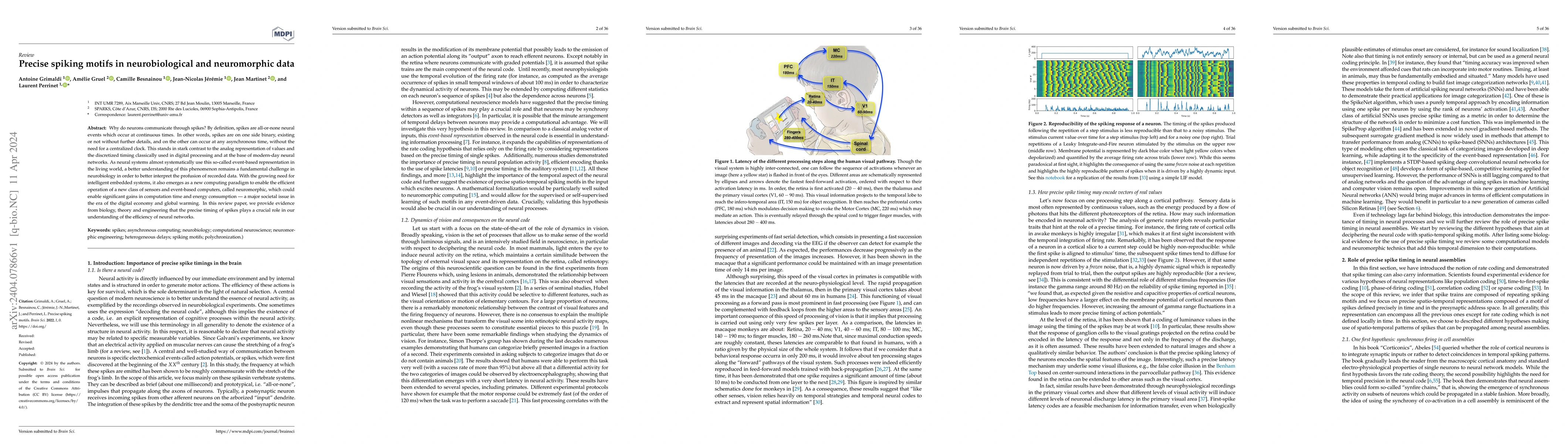 Thumbnail for Precise spiking motifs in neurobiological and neuromorphic data