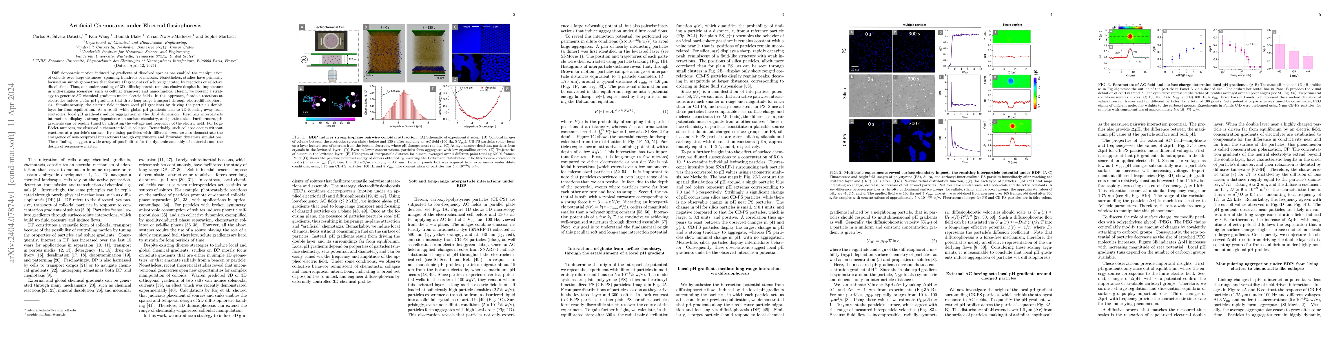 Thumbnail for Artificial Chemotaxis under Electrodiffusiophoresis