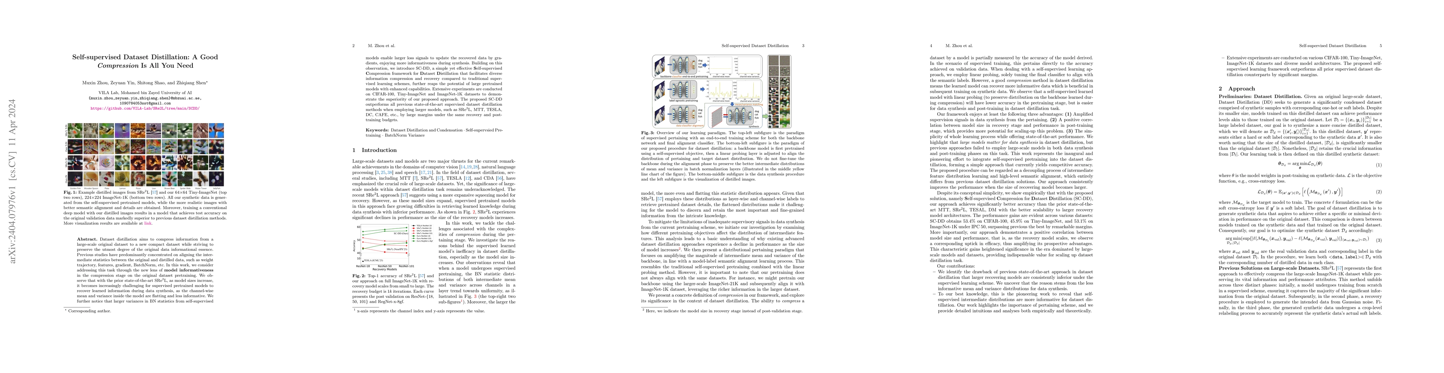 Thumbnail for Self-supervised Dataset Distillation: A Good Compression Is All You Need