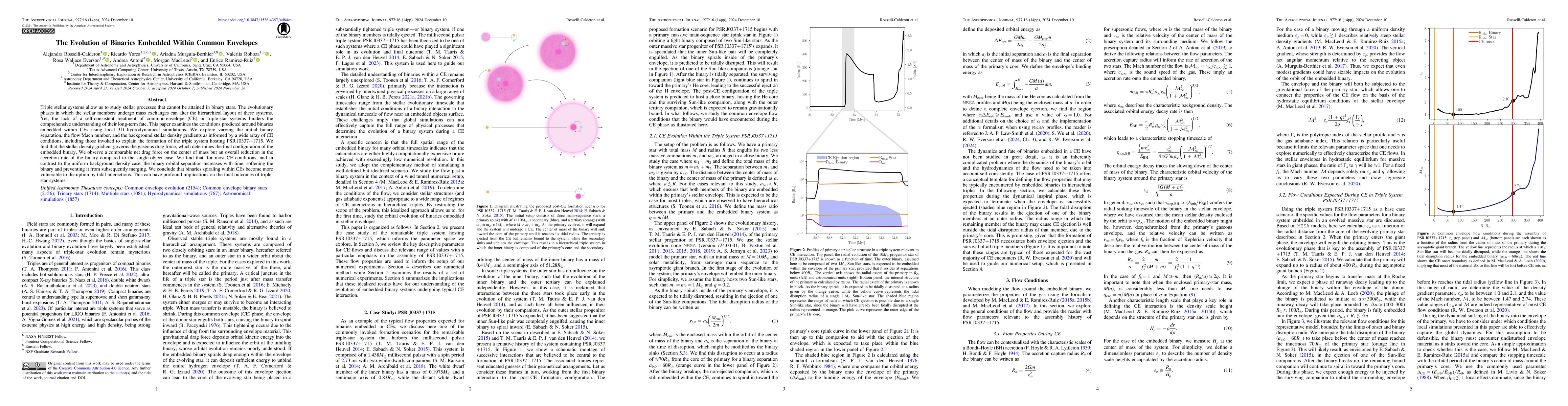 Thumbnail for The Evolution of Binaries Embedded Within Common Envelopes