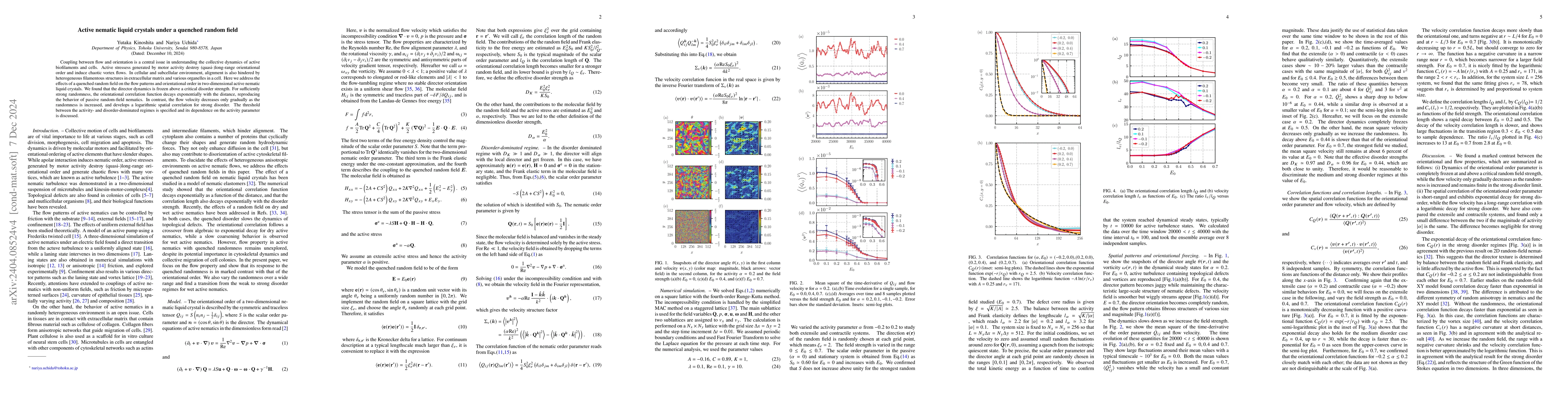 Thumbnail for Active nematic liquid crystals under a quenched random field