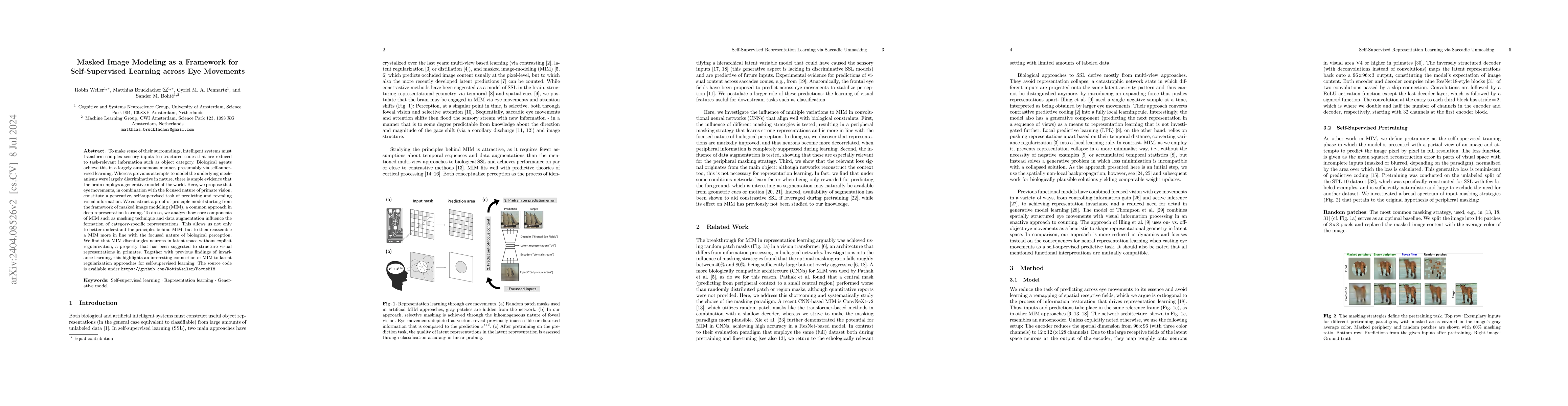 Thumbnail for Masked Image Modeling as a Framework for Self-Supervised Learning across
  Eye Movements