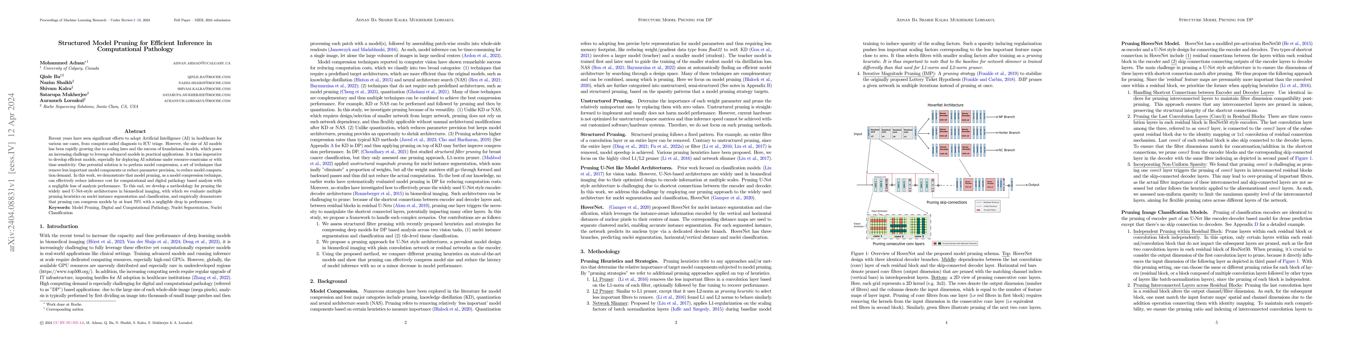 Thumbnail for Structured Model Pruning for Efficient Inference in Computational
  Pathology