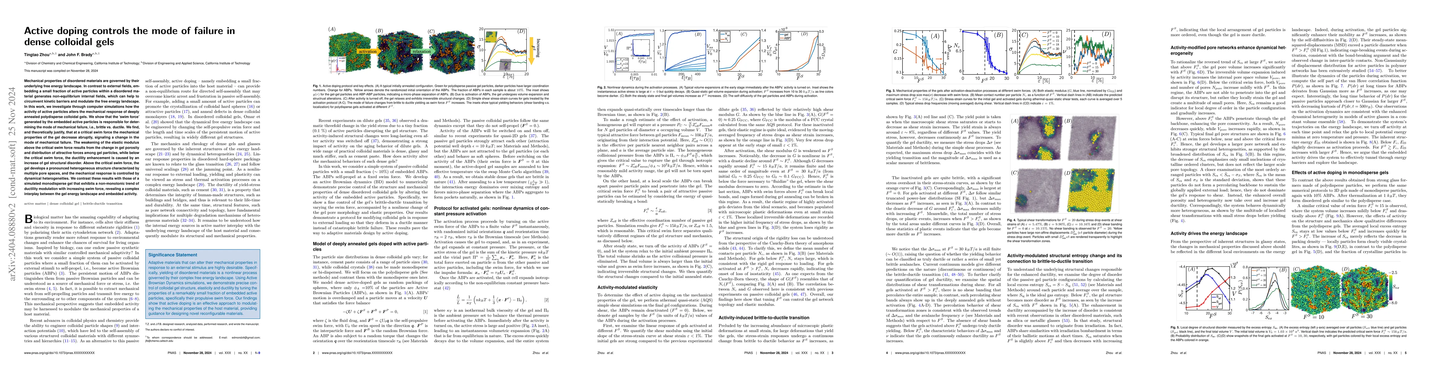 Thumbnail for Active doping controls the mode of failure in dense colloidal gels