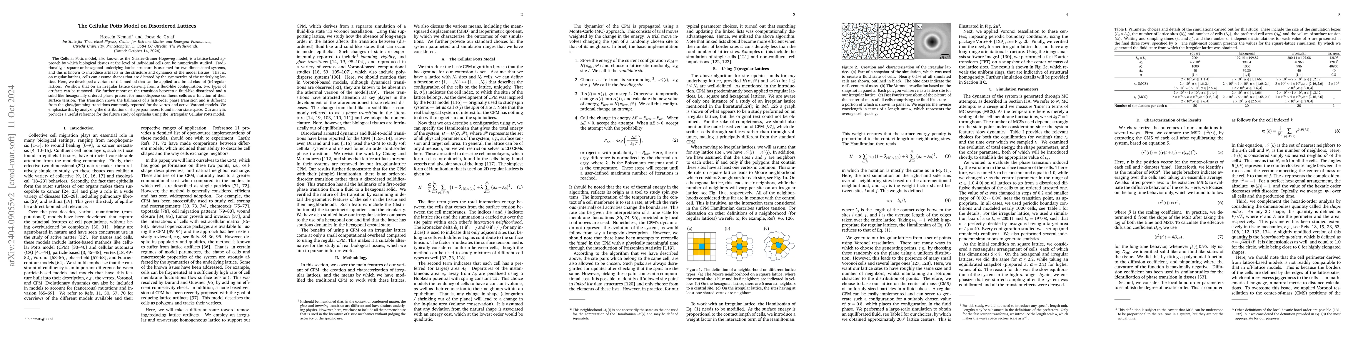 Thumbnail for The Cellular Potts Model on Disordered Lattices