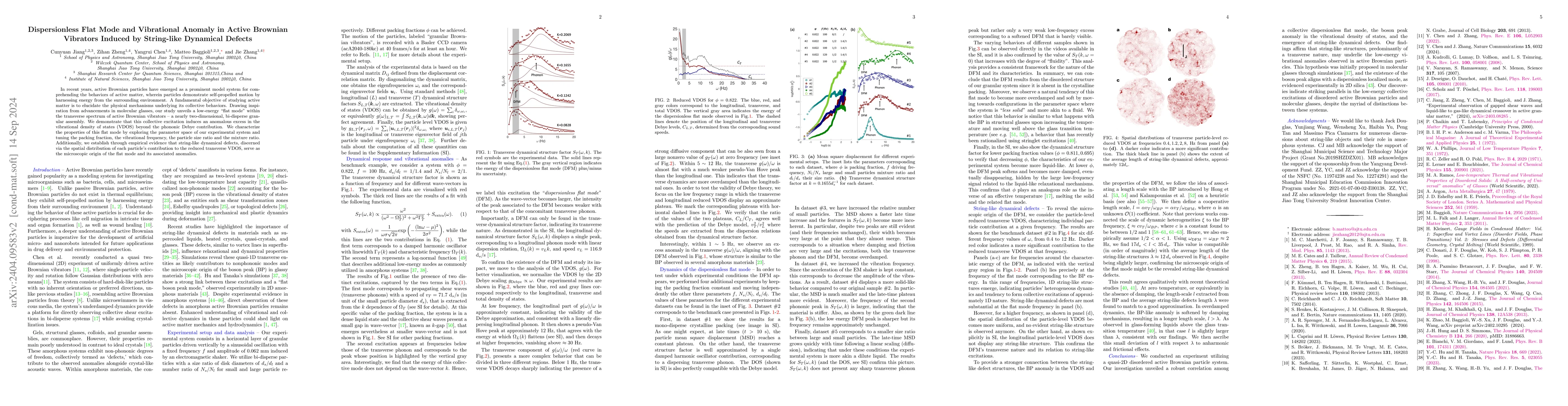 Thumbnail for Dispersionless Flat Mode and Vibrational Anomaly in Active Brownian
  Vibrators Induced by String-like Dynamical Defects