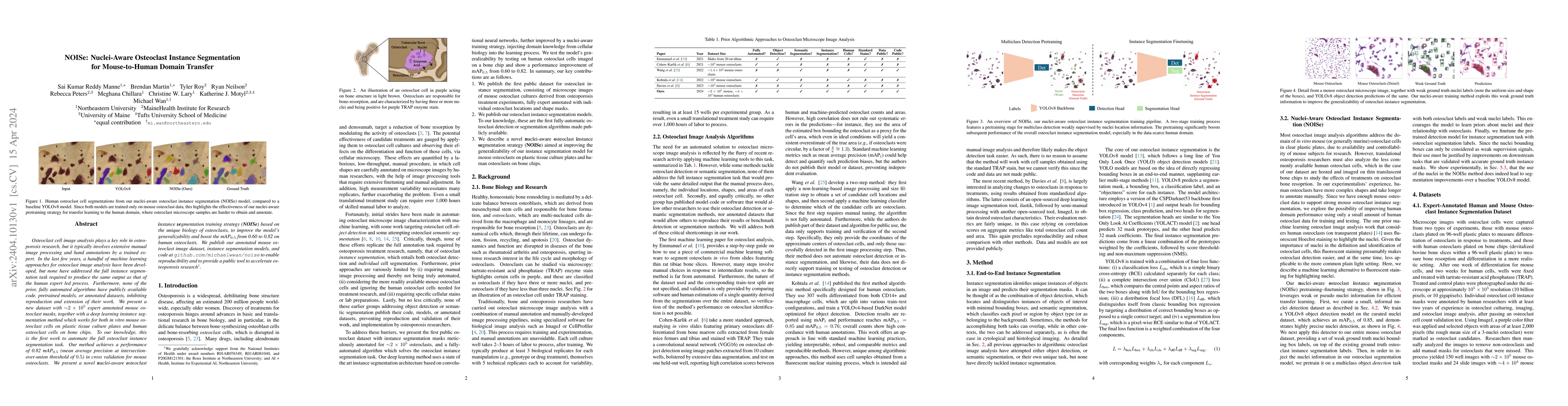 Thumbnail for NOISe: Nuclei-Aware Osteoclast Instance Segmentation for Mouse-to-Human
  Domain Transfer