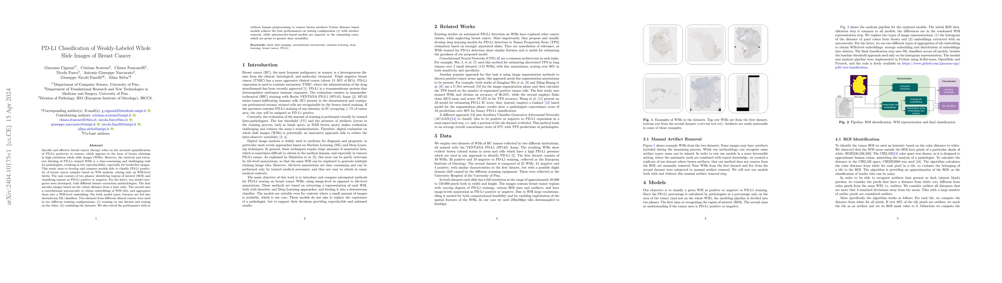 Thumbnail for PD-L1 Classification of Weakly-Labeled Whole Slide Images of Breast
  Cancer