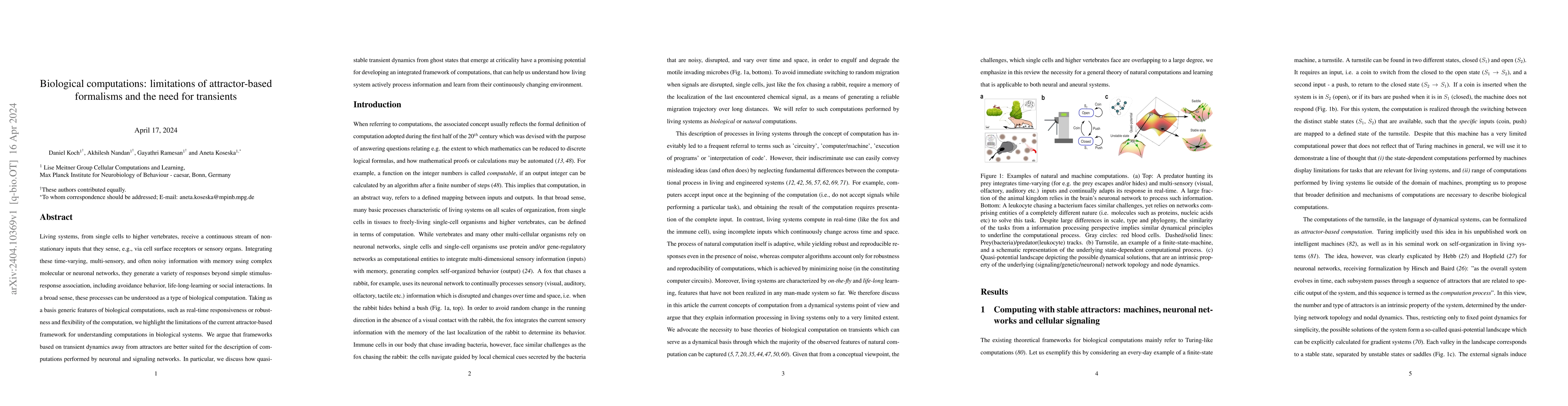 Thumbnail for Biological computations: limitations of attractor-based formalisms and
  the need for transients