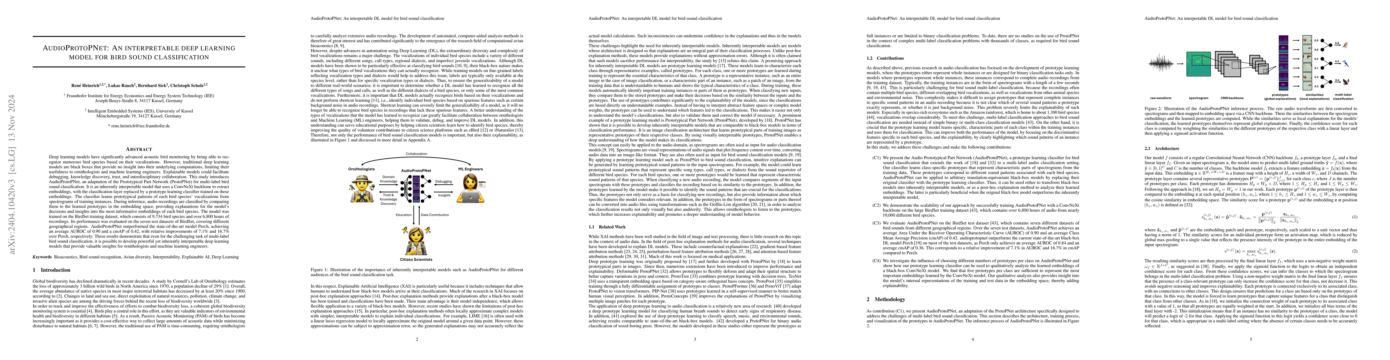 Thumbnail for AudioProtoPNet: An interpretable deep learning model for bird sound
  classification