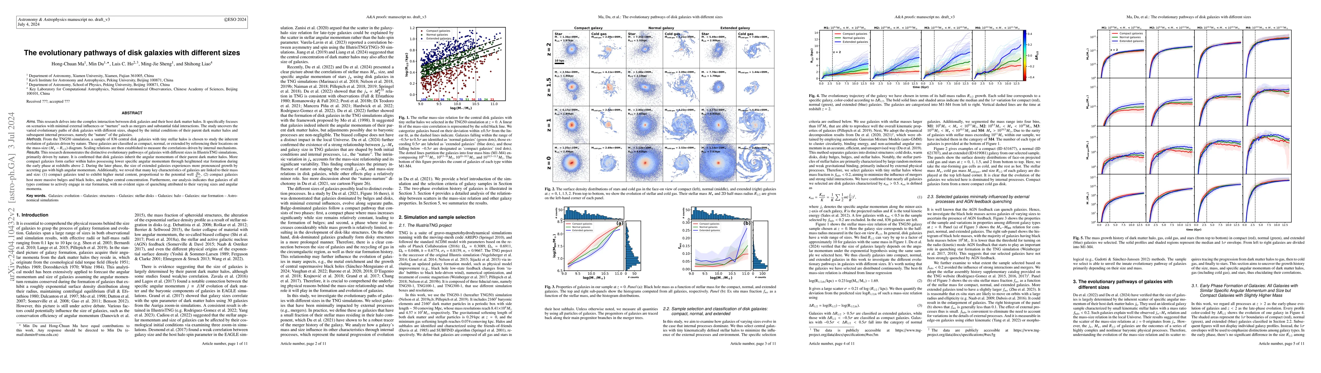 Thumbnail for The evolutionary pathways of disk galaxies with different sizes