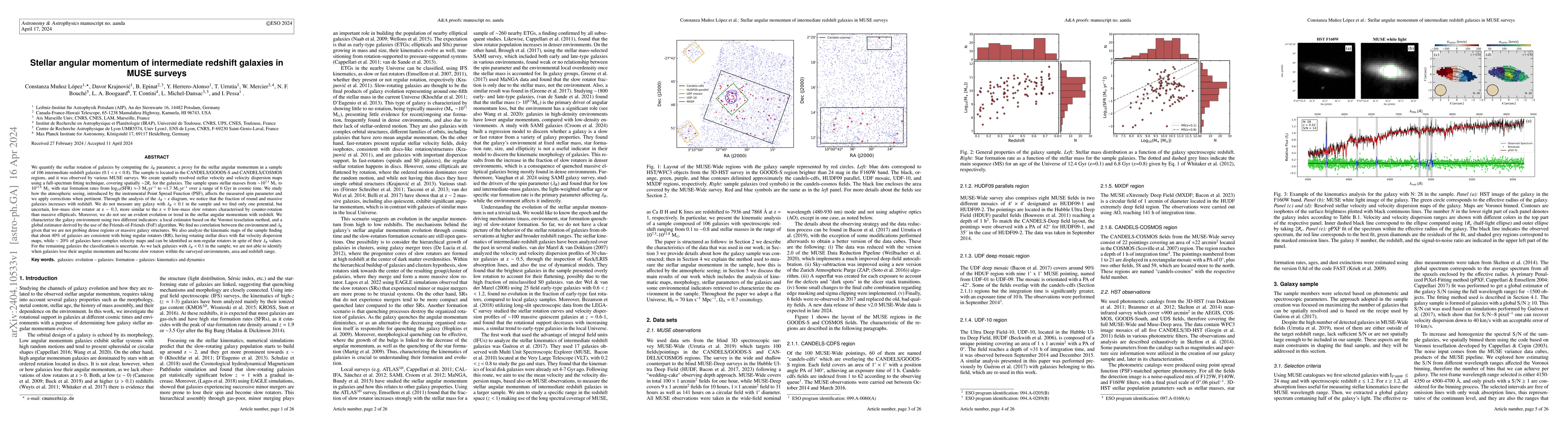 Thumbnail for Stellar angular momentum of intermediate redshift galaxies in MUSE
  surveys