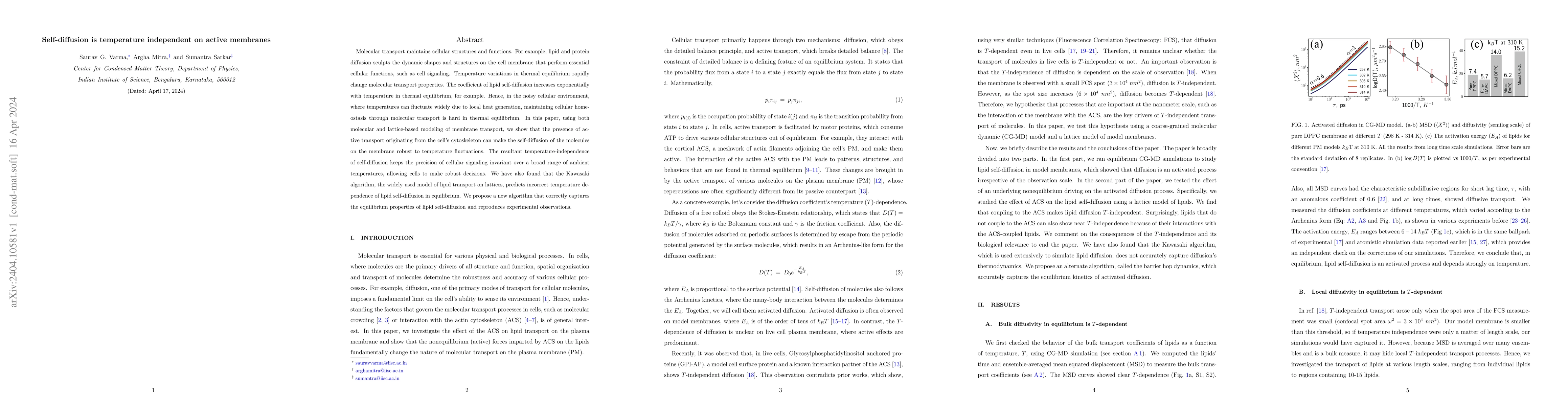 Thumbnail for Self-diffusion is temperature independent on active membranes