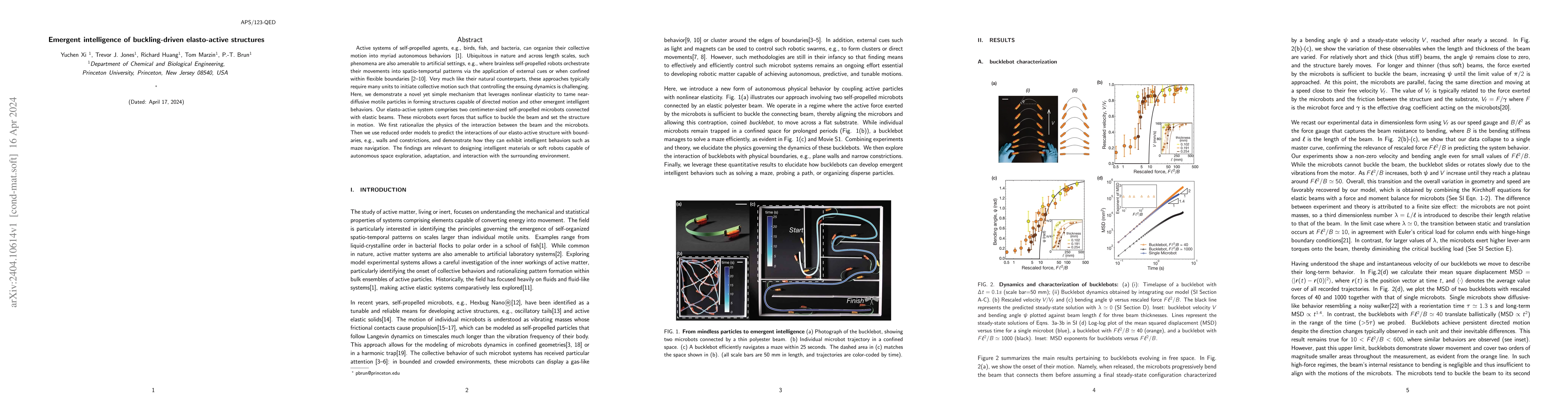 Thumbnail for Emergent intelligence of buckling-driven elasto-active structures