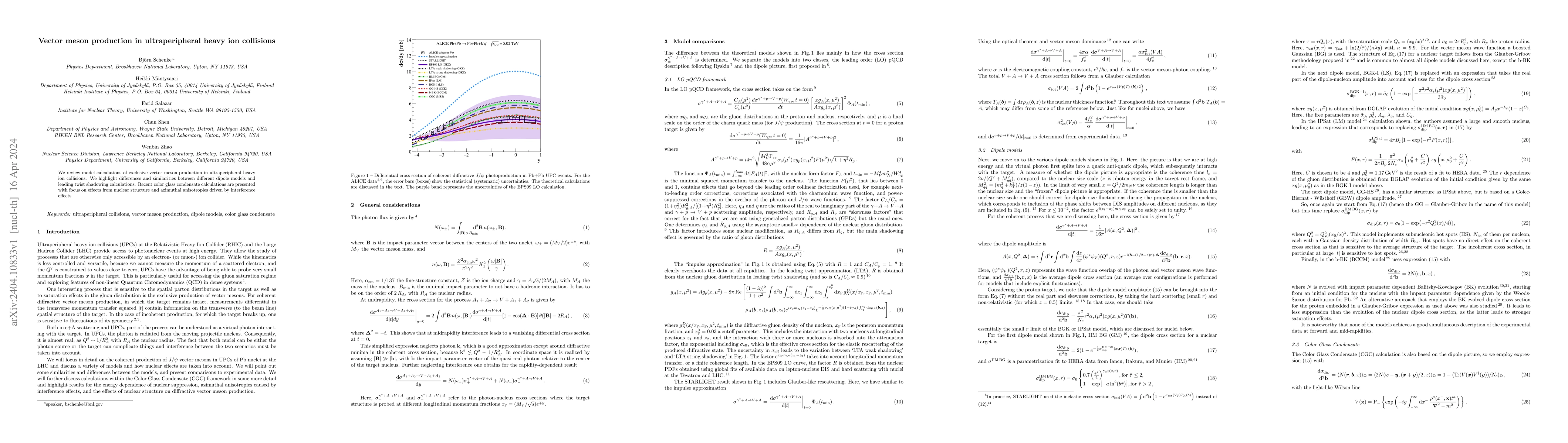 Thumbnail for Vector meson production in ultraperipheral heavy ion collisions
