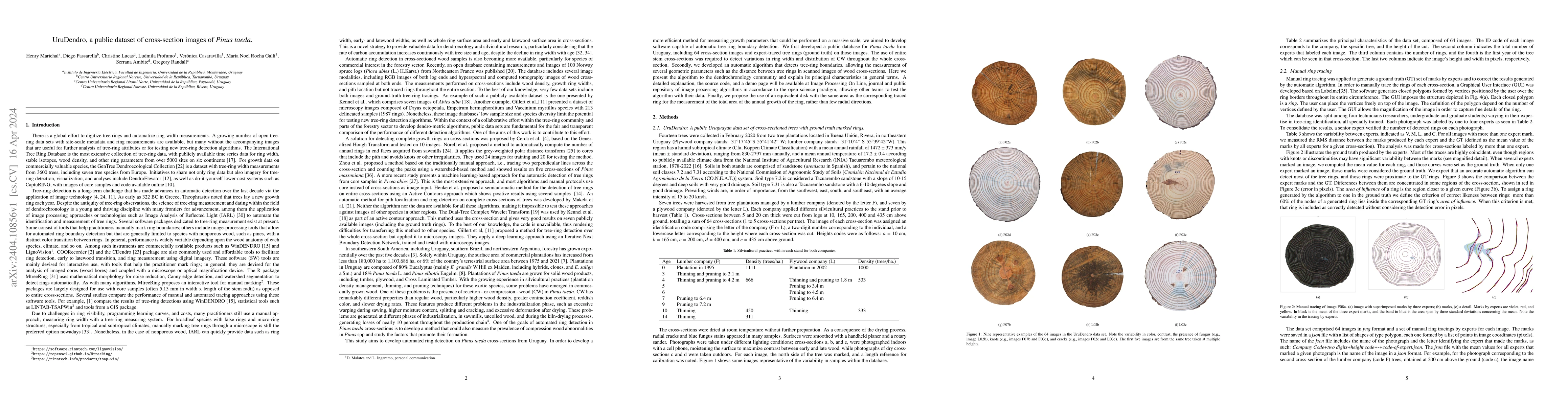 Thumbnail for UruDendro, a public dataset of cross-section images of Pinus taeda