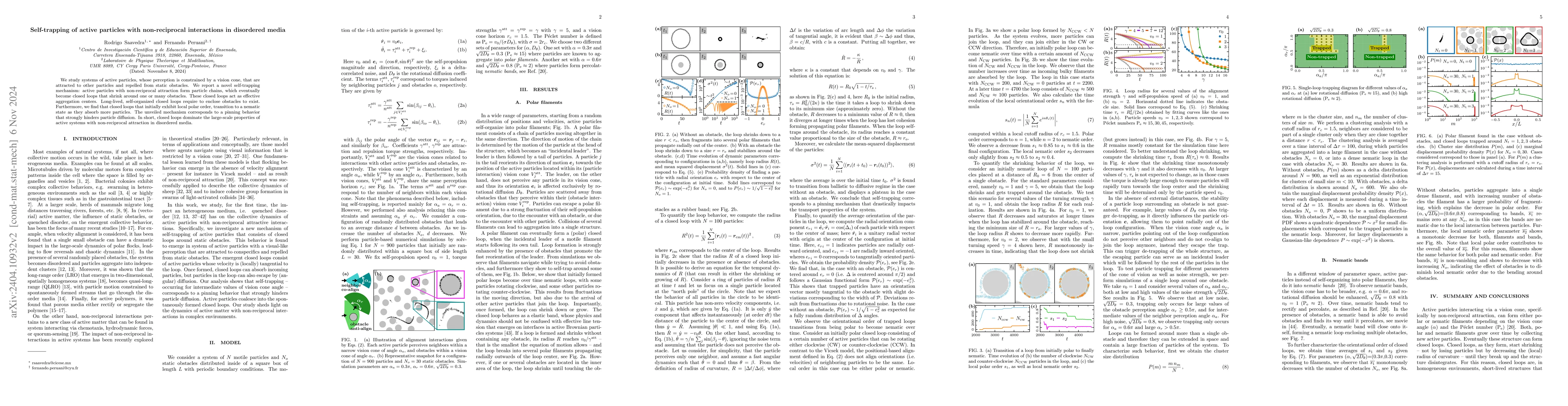 Thumbnail for Self-trapping of active particles induced by non-reciprocal interactions
  in disordered media