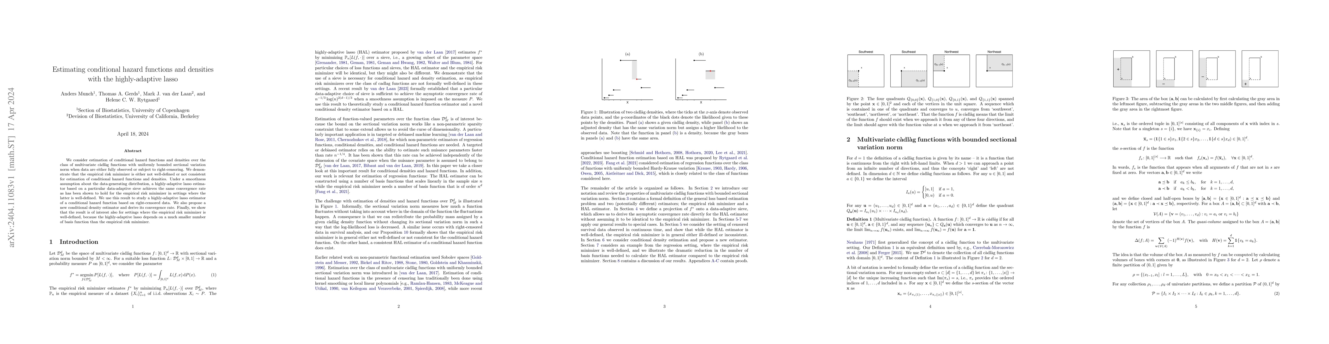 Thumbnail for Estimating conditional hazard functions and densities with the
  highly-adaptive lasso