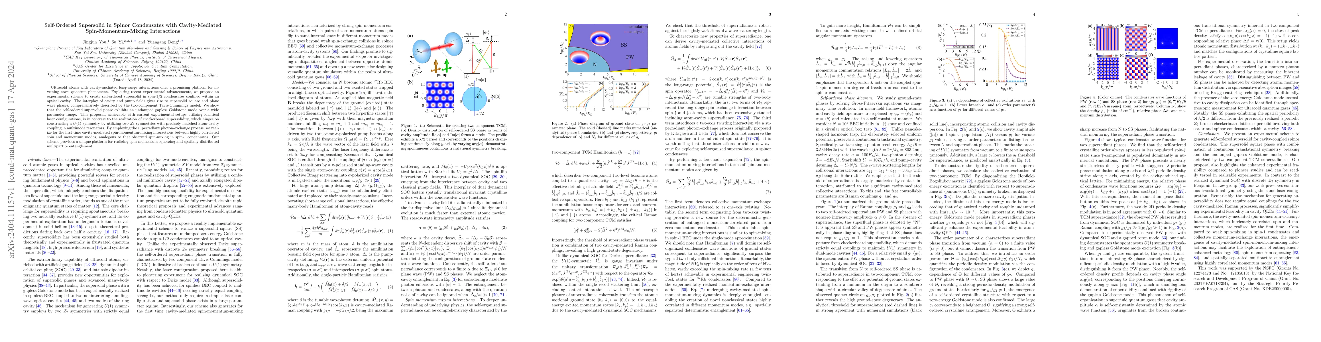 Thumbnail for Self-Ordered Supersolid in Spinor Condensates with Cavity-Mediated
  Spin-Momentum-Mixing Interactions