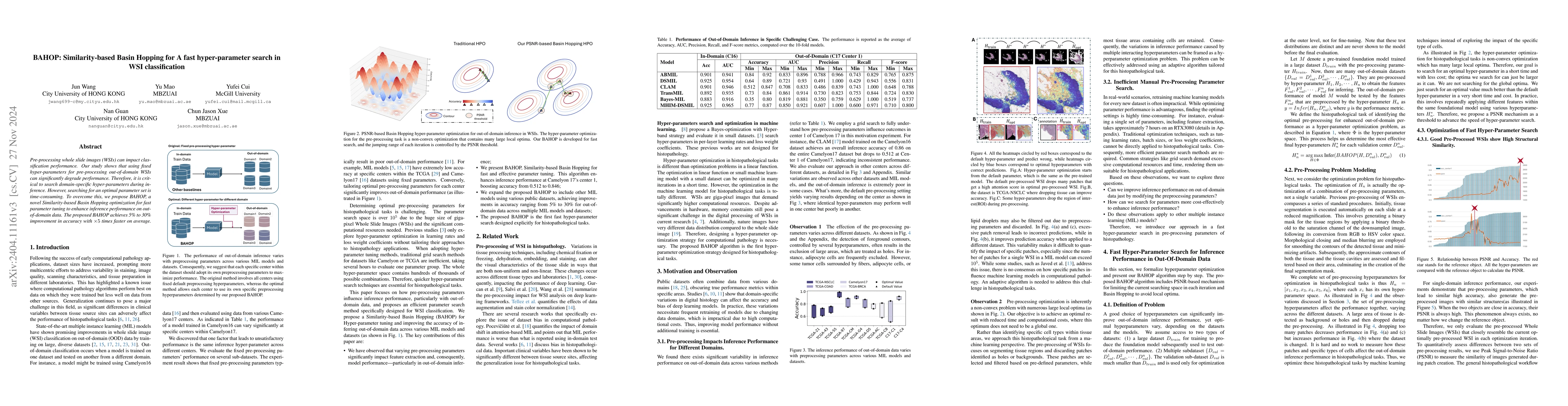 Thumbnail for Pre-processing matters: A segment search method for WSI classification