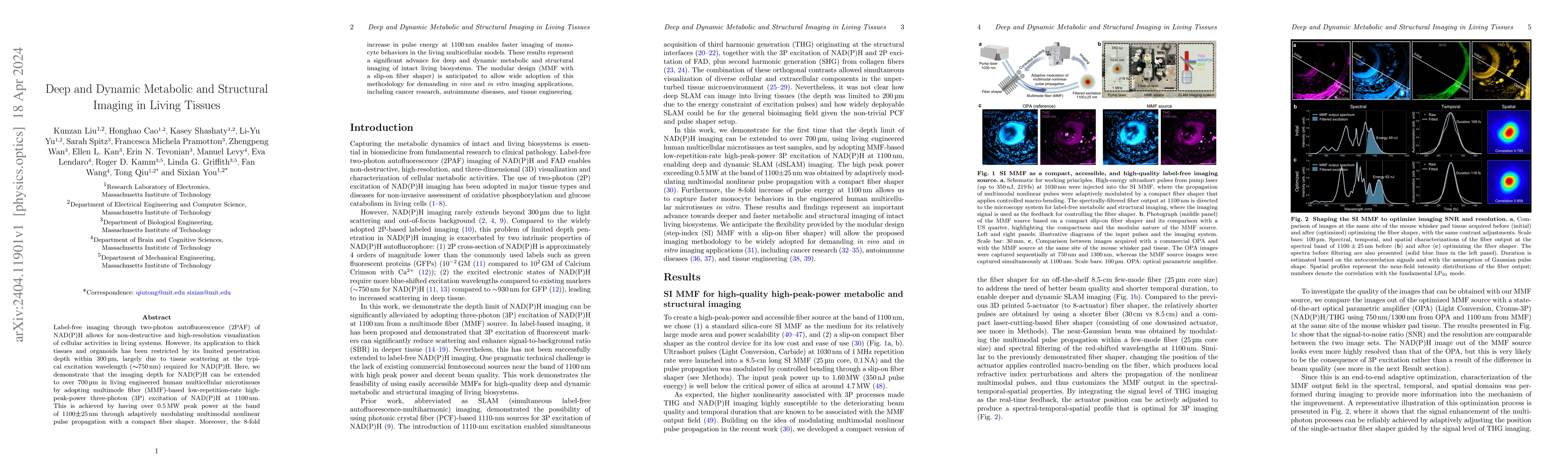 Thumbnail for Deep and Dynamic Metabolic and Structural Imaging in Living Tissues