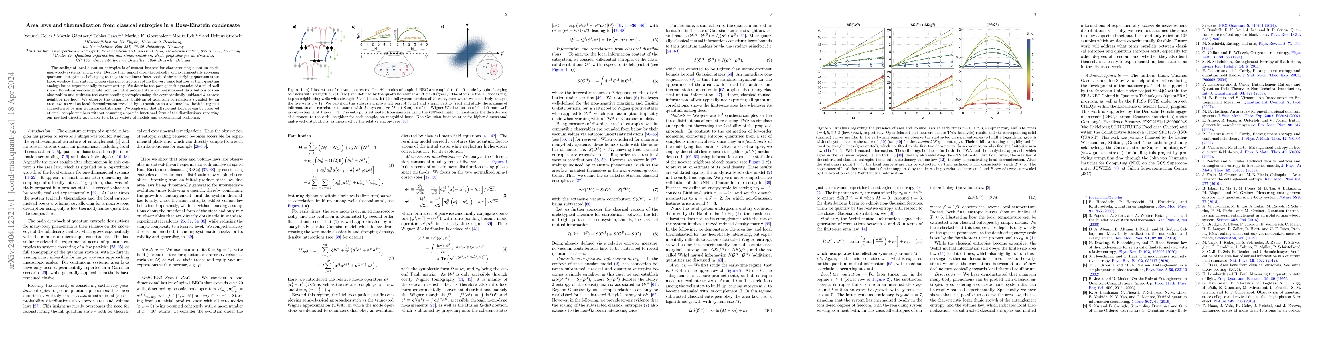 Thumbnail for Area laws and thermalization from classical entropies in a Bose-Einstein
  condensate