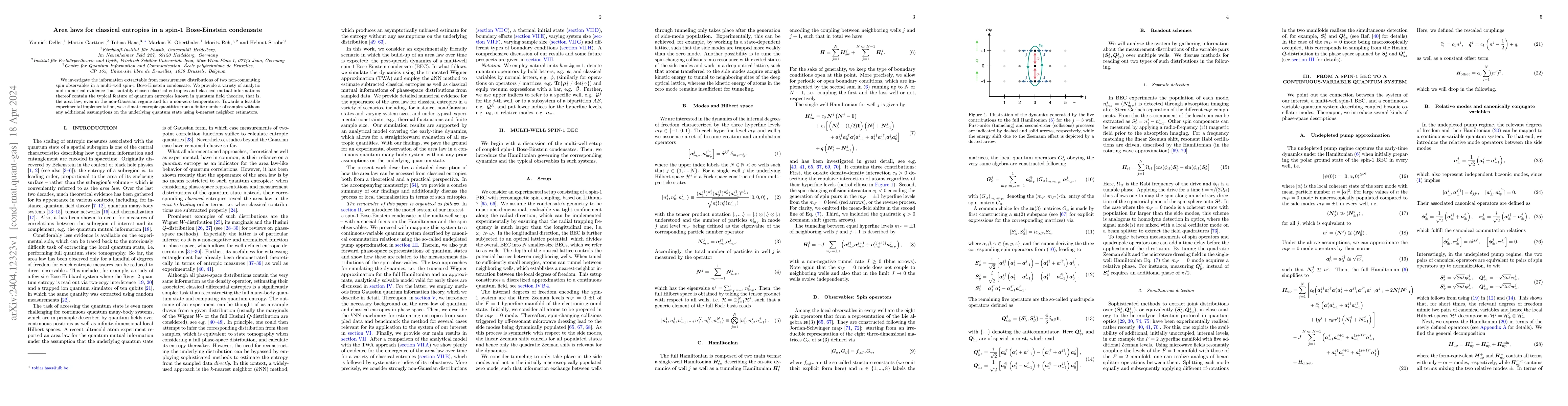 Thumbnail for Area laws for classical entropies in a spin-1 Bose-Einstein condensate