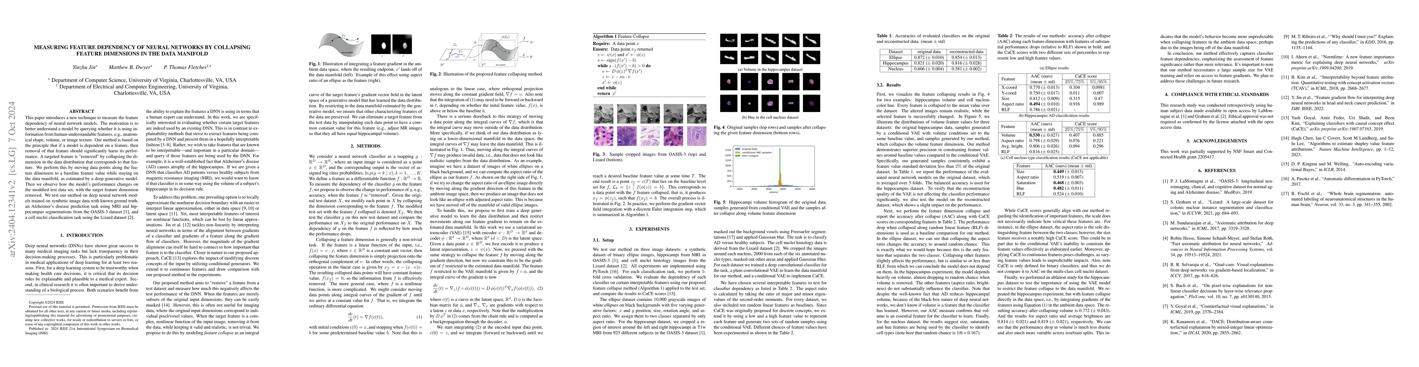 Thumbnail for Measuring Feature Dependency of Neural Networks by Collapsing Feature
  Dimensions in the Data Manifold