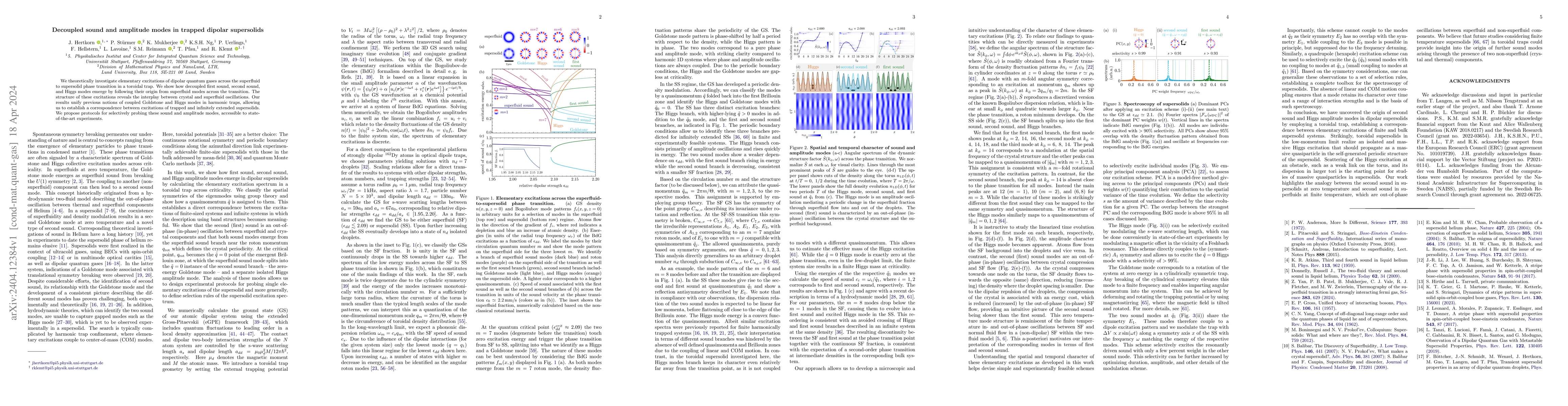 Thumbnail for Decoupled sound and amplitude modes in trapped dipolar supersolids