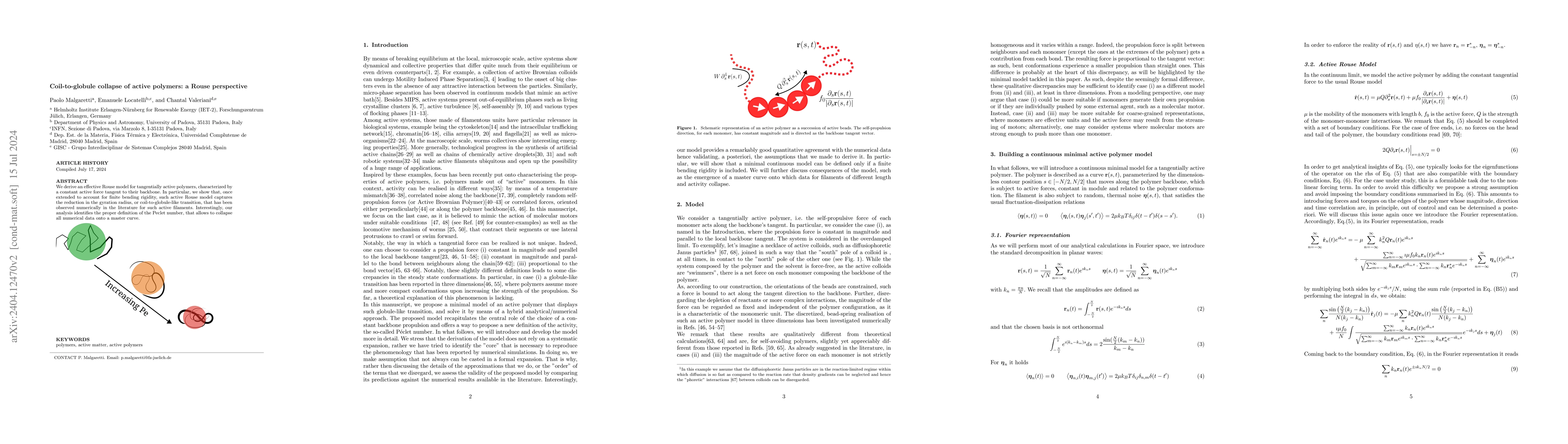 Thumbnail for Coil-to-globule collapse of active polymers: a Rouse perspective