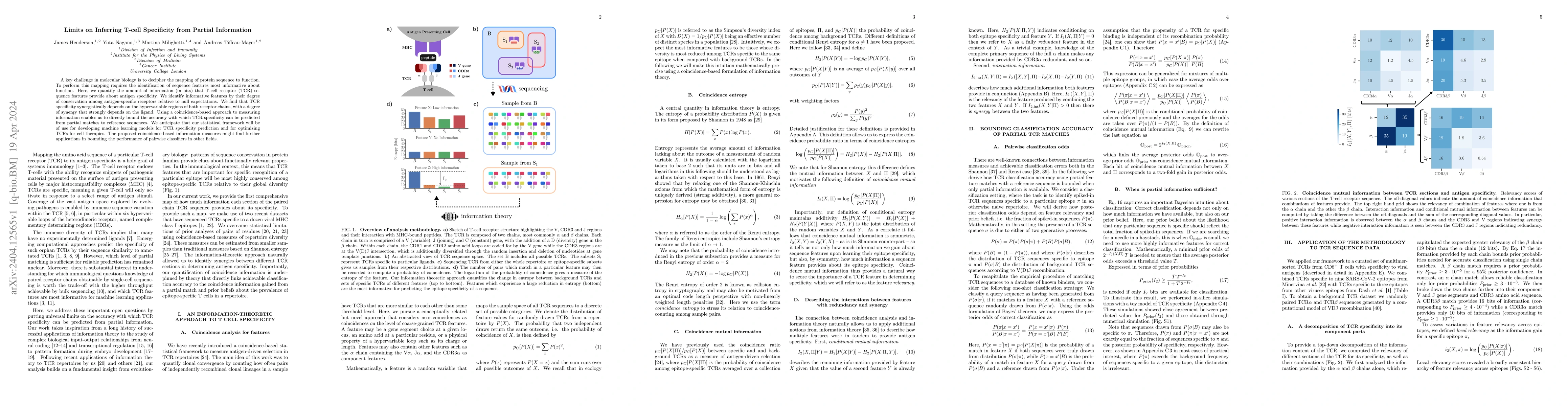 Thumbnail for Limits on Inferring T-cell Specificity from Partial Information