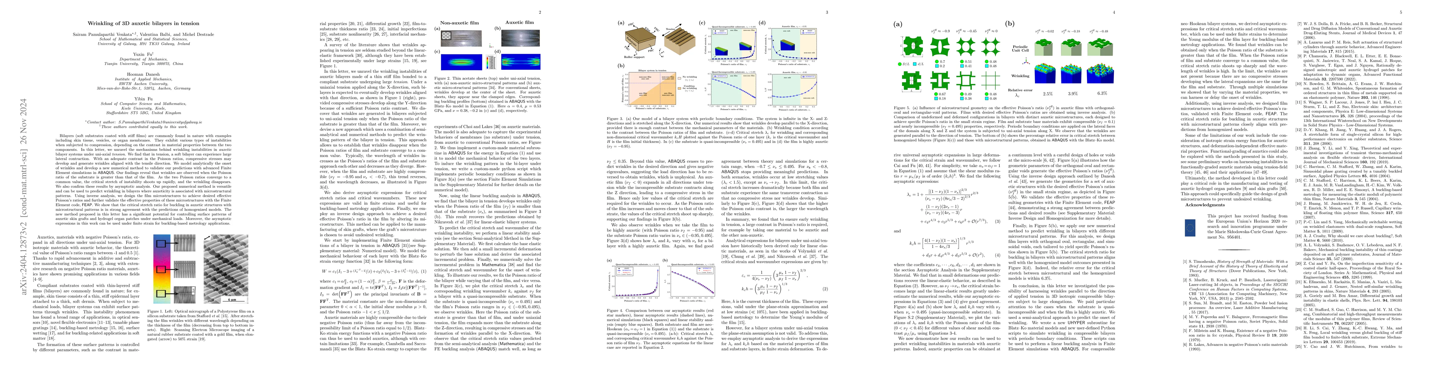 Thumbnail for Wrinkling instability of 3D auxetic bilayers in tension