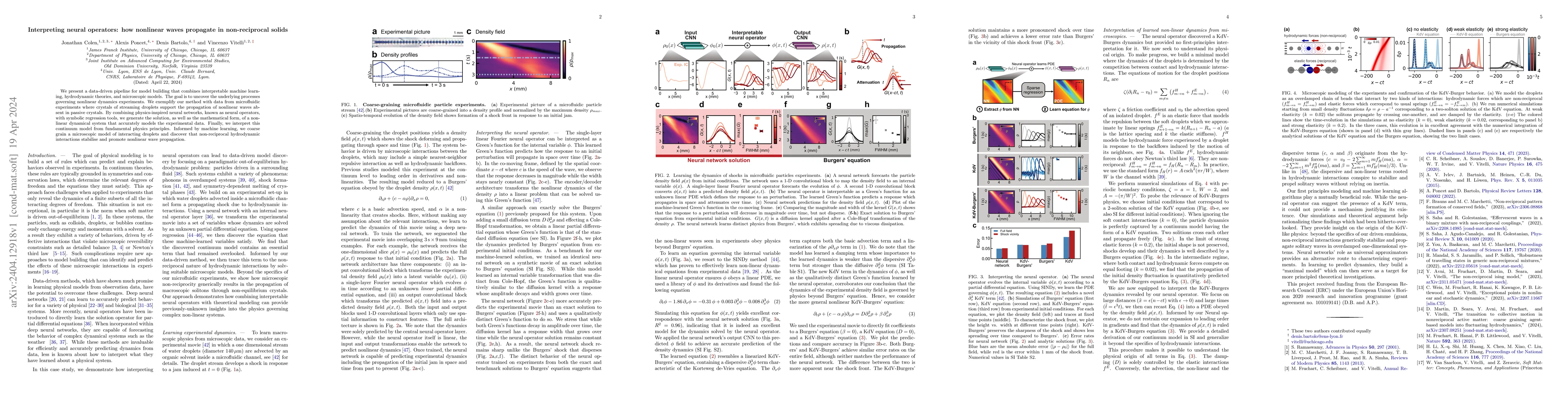 Thumbnail for Interpreting neural operators: how nonlinear waves propagate in
  non-reciprocal solids