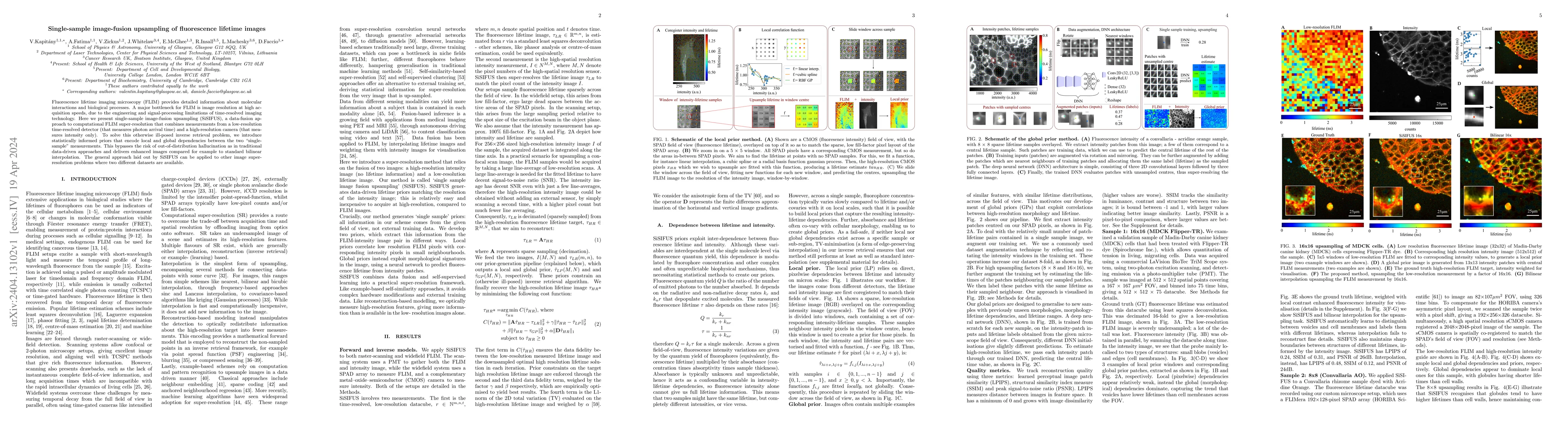 Thumbnail for Single-sample image-fusion upsampling of fluorescence lifetime images